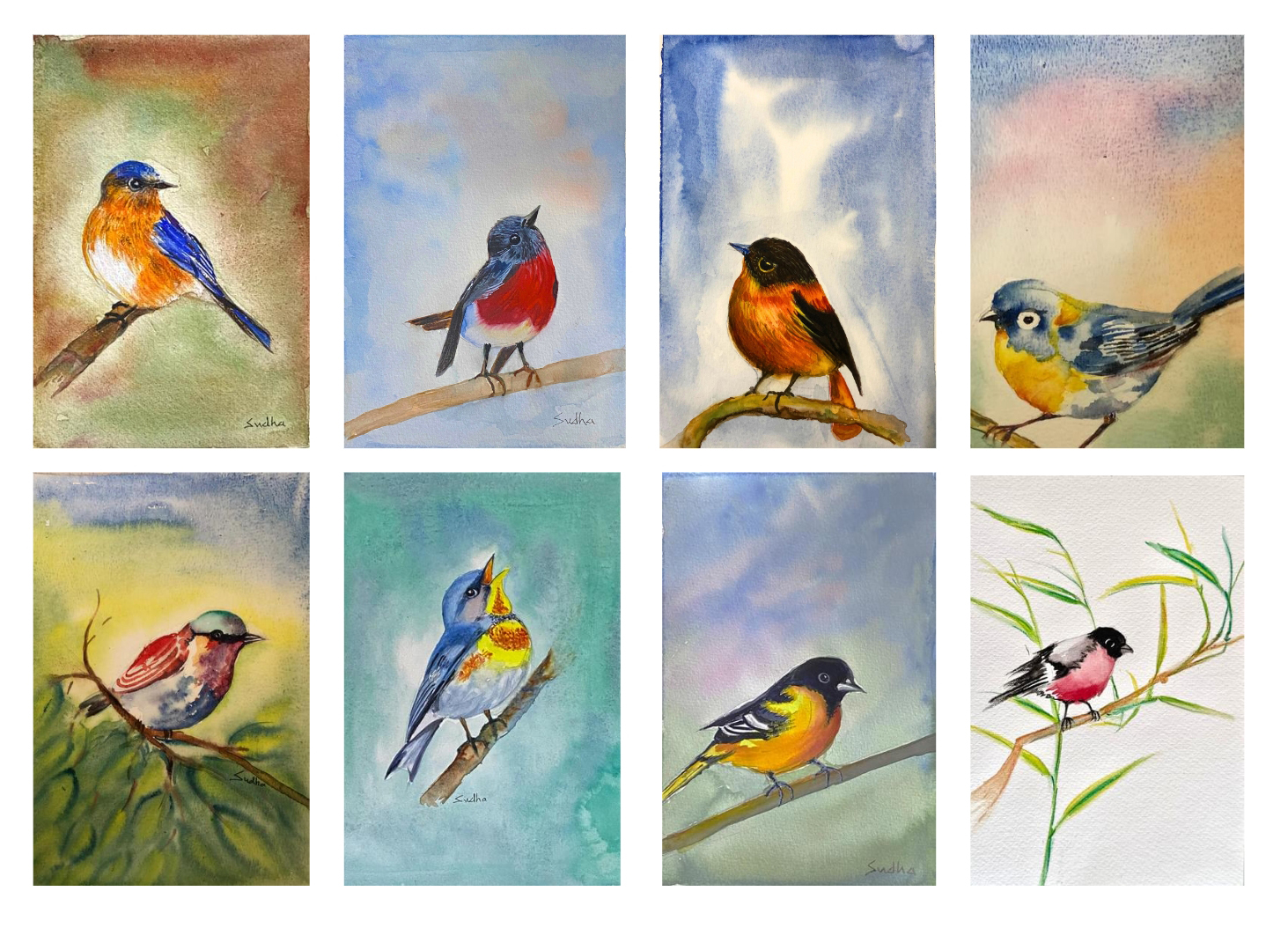 Birds