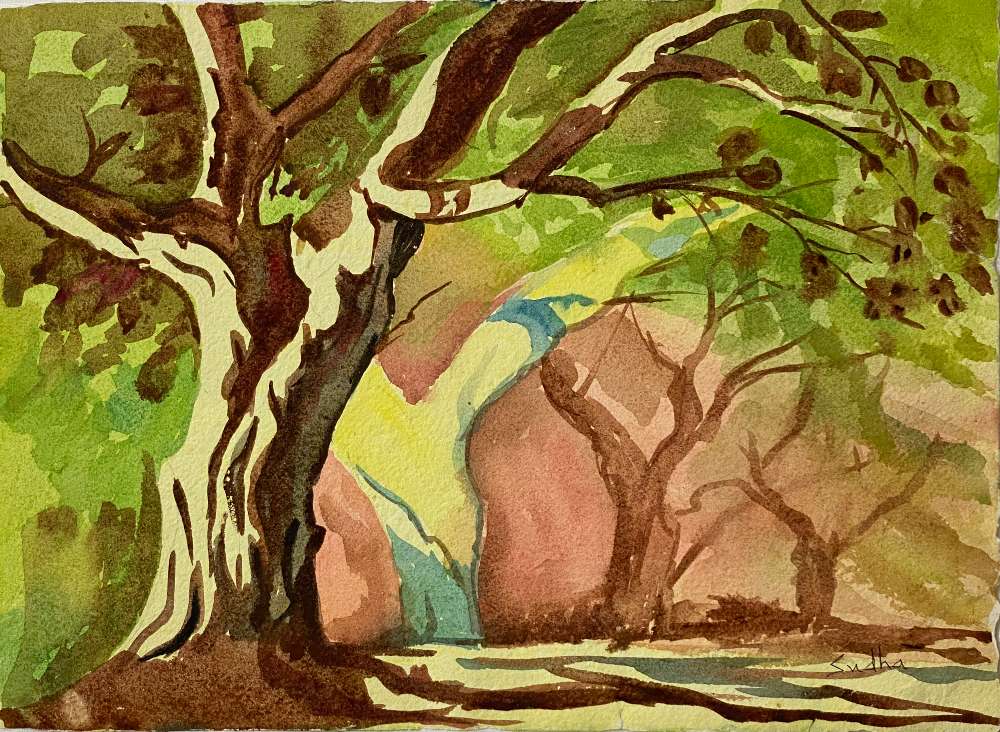 Forest Walk